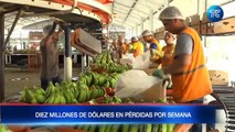 Conflicto bélico entre Rusia y Ucrania afecta al banano ecuatoriano