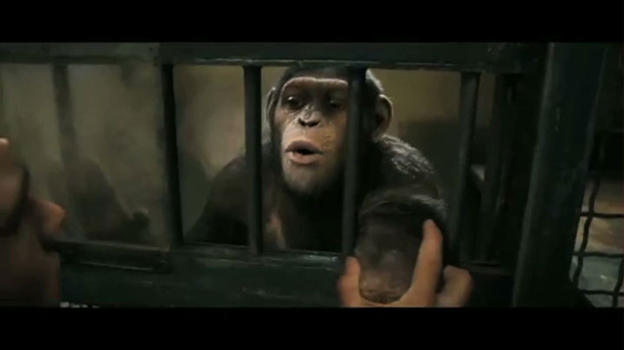 La planète des singes : origines