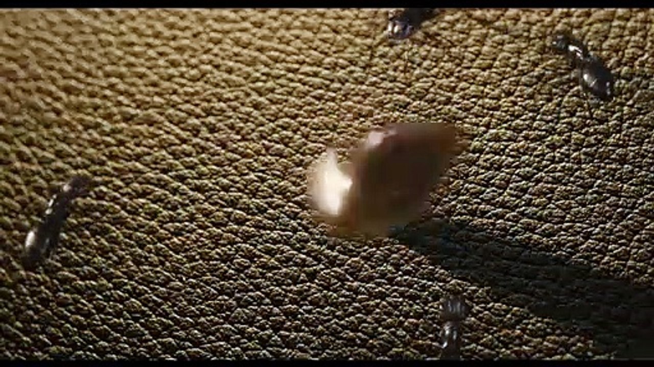 Ant-Man Trailer DF