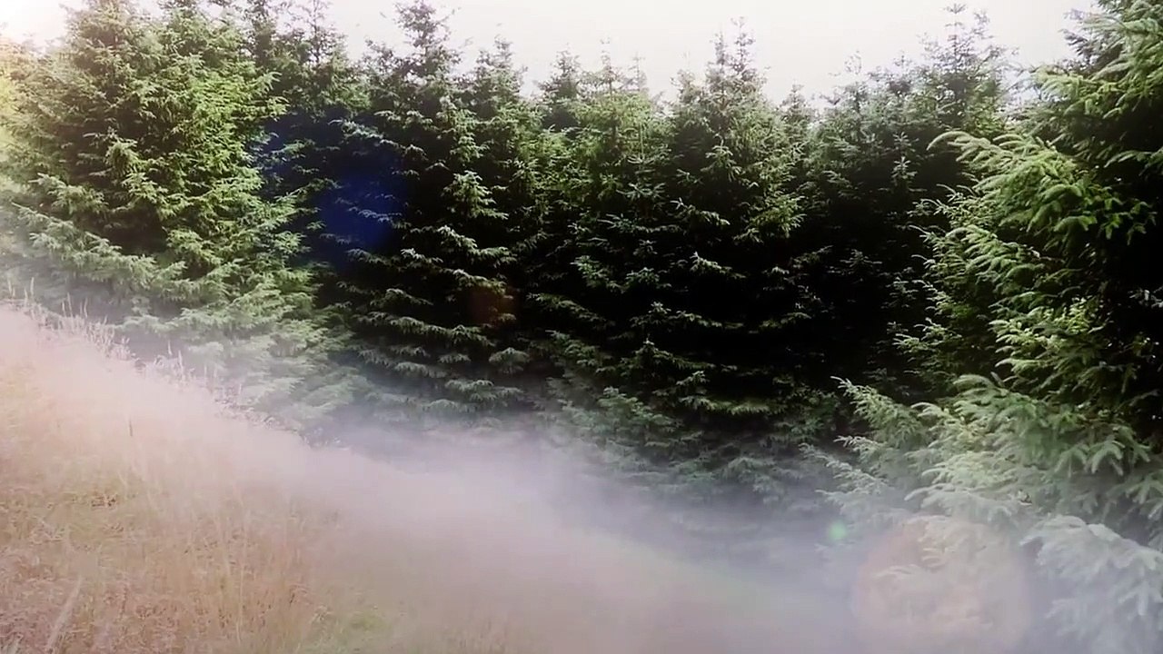 Die Verdammten - Soldiers Of The Damned Trailer DF