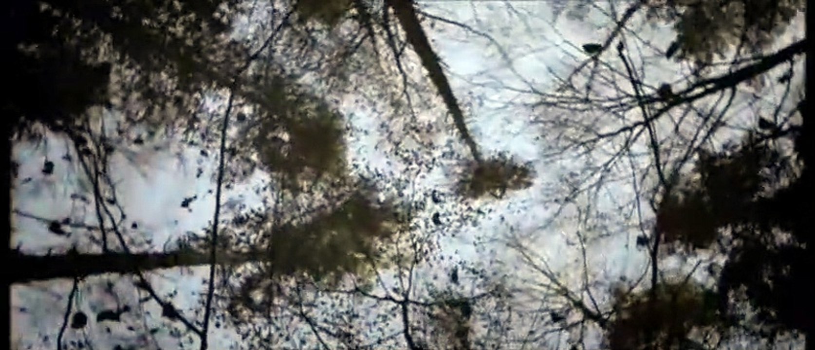 Du hast es versprochen Teaser DF