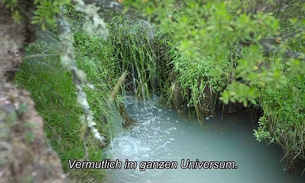 The Untamed Trailer OmU