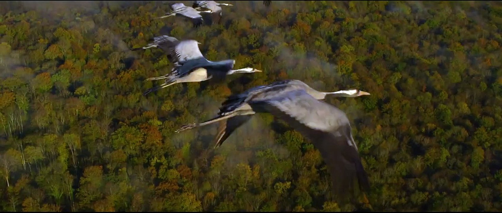 Unsere Wildnis Trailer (2) DF