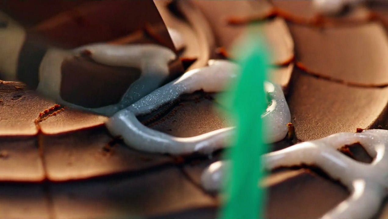 The Vatican Tapes Trailer DF