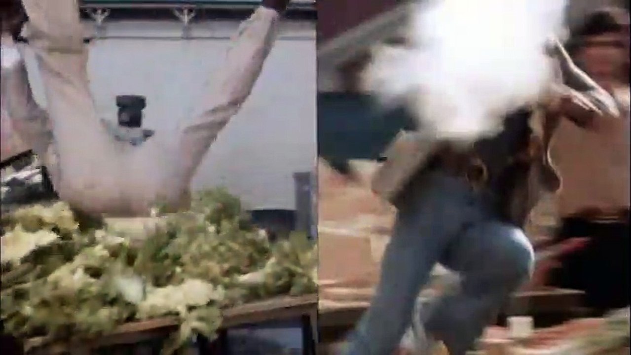 Der Windhund Trailer DF