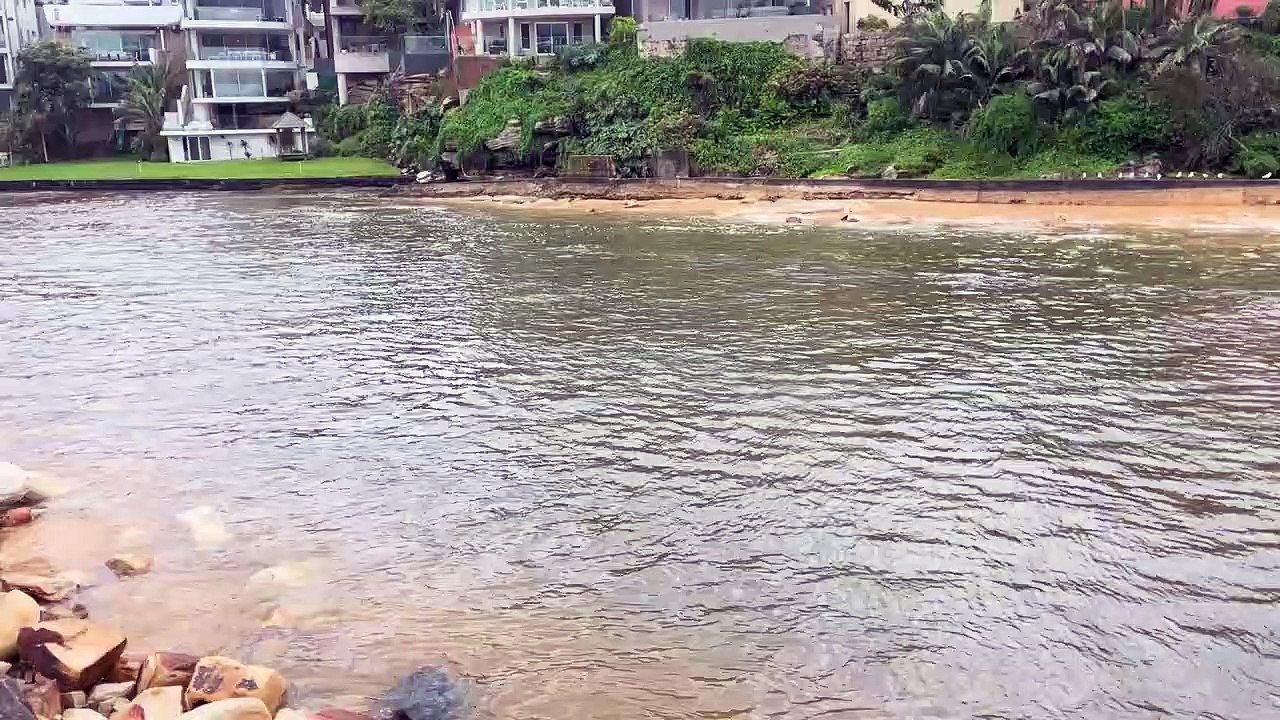 Queenscliff Beach | March 9, 2022 | Northern Beaches Review