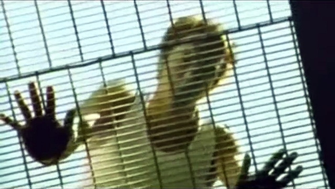 Zeit der Rache - Im Namen des Vaters Trailer DF