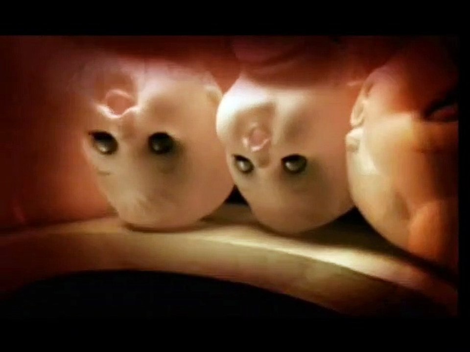 Die schwarze Katze Trailer DF