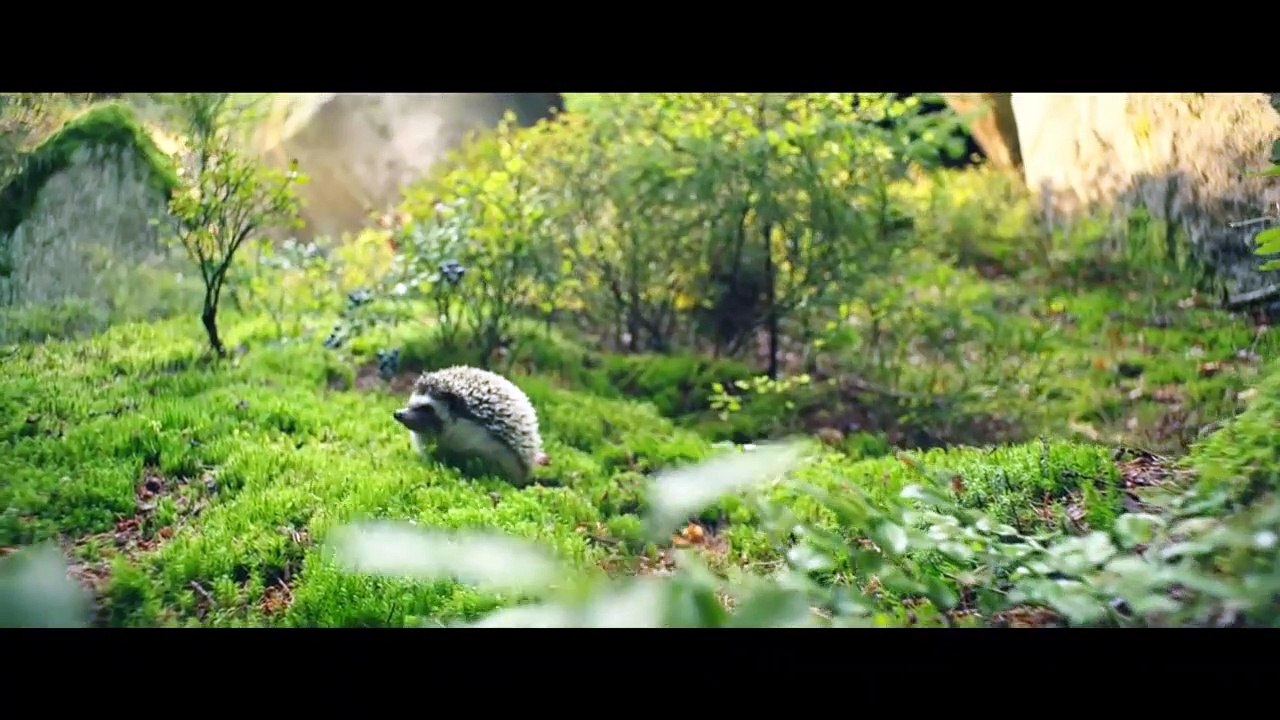 Die kleine Hexe Trailer (2) DF