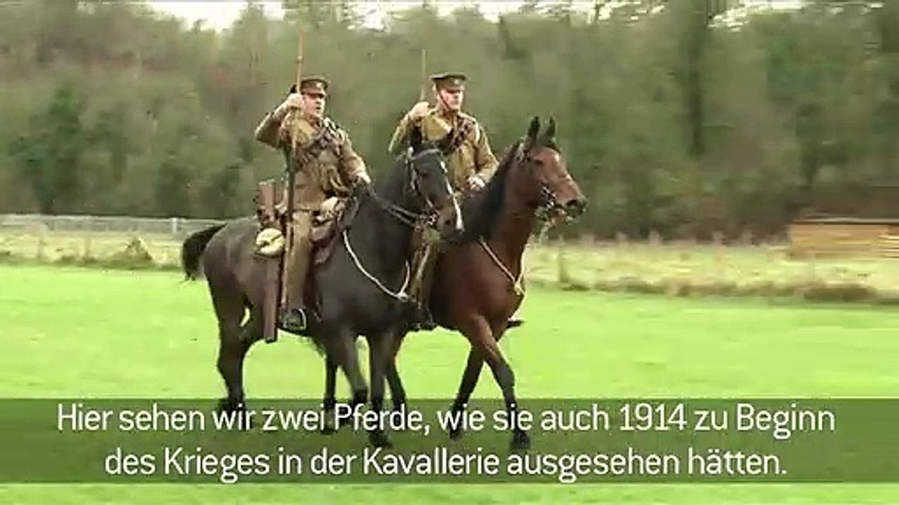 Interviews 3 - Deutsch