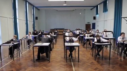 Frequencies Trailer DF