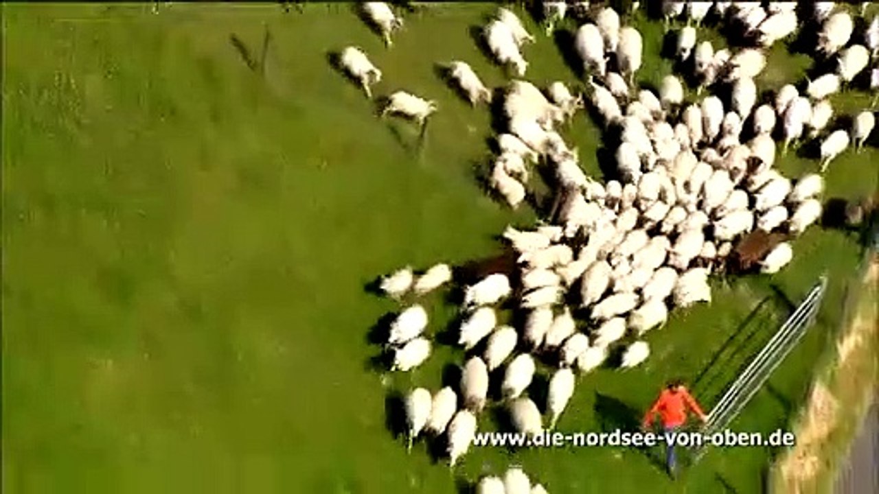 Die Nordsee von oben Trailer DF