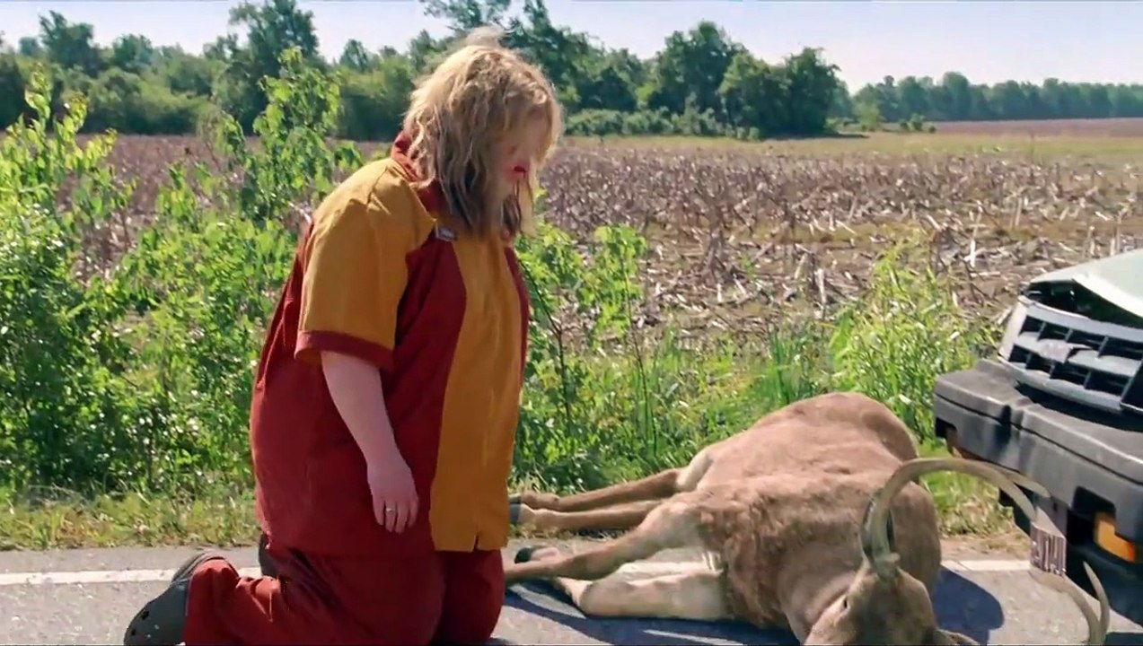 Tammy - Voll abgefahren Trailer DF