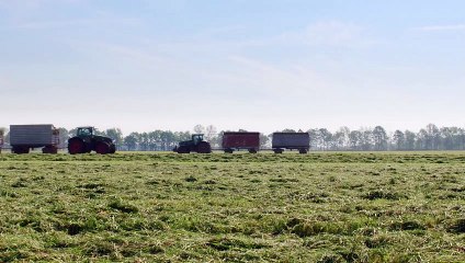 Auf der Jagd - Wem gehört die Natur? Trailer DF