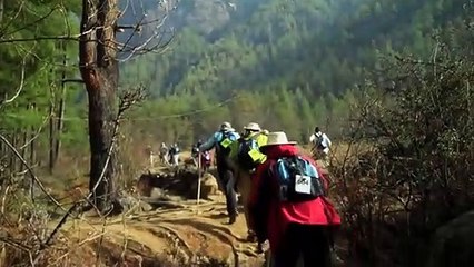 Gringo Trails Trailer OV