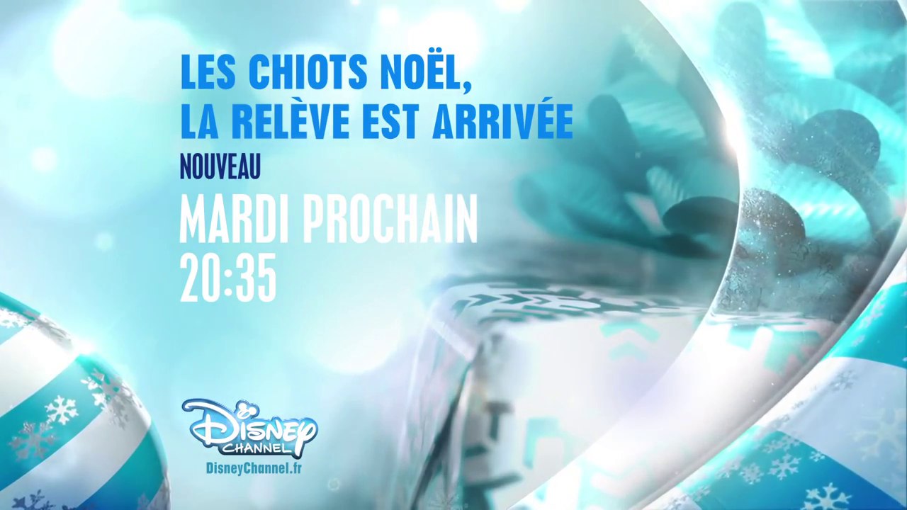 Les Chiots Noël, la relève est arrivée