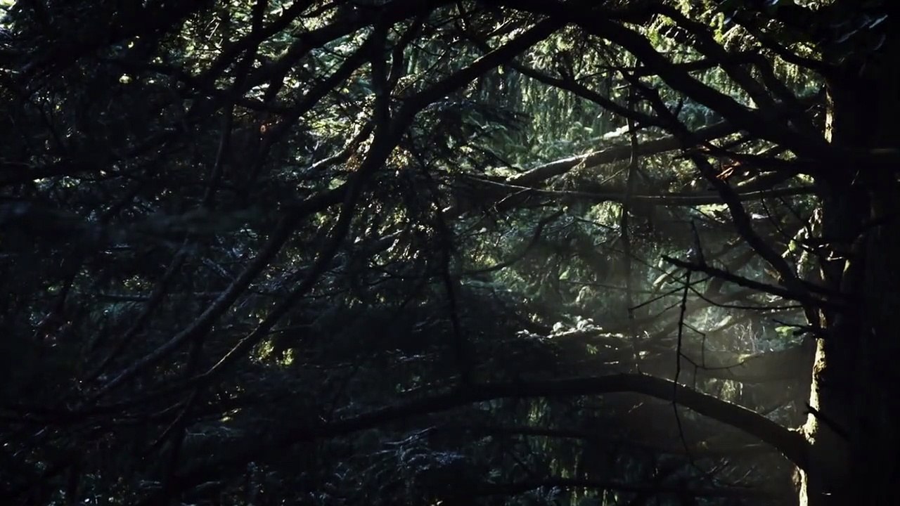 Das kalte Herz Trailer DF