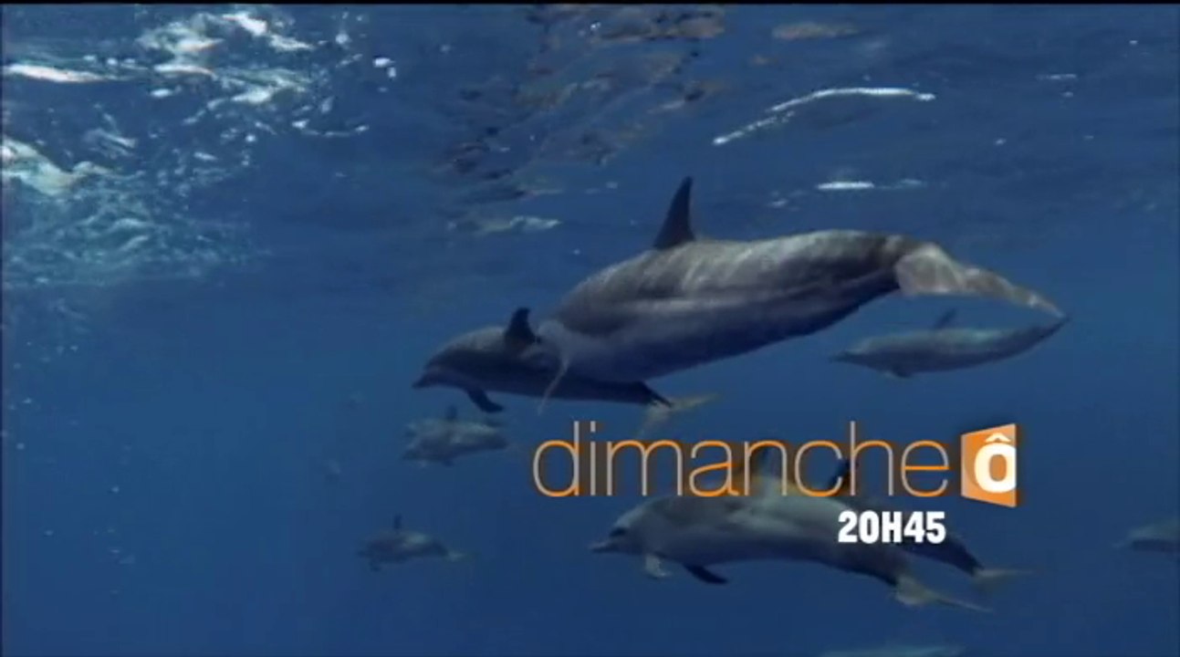 Passion outre-mer - mer des Caraïbes - 13/12