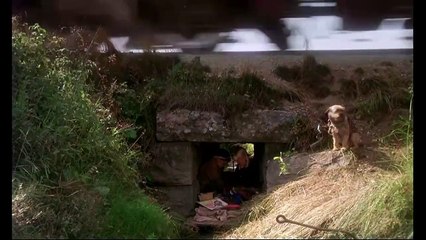 Mein Leben als Hund Trailer DF