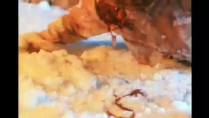 Jack Frost - Der eiskalte Killer Trailer OV