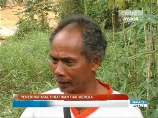 Peneroka asal dinafikan hak