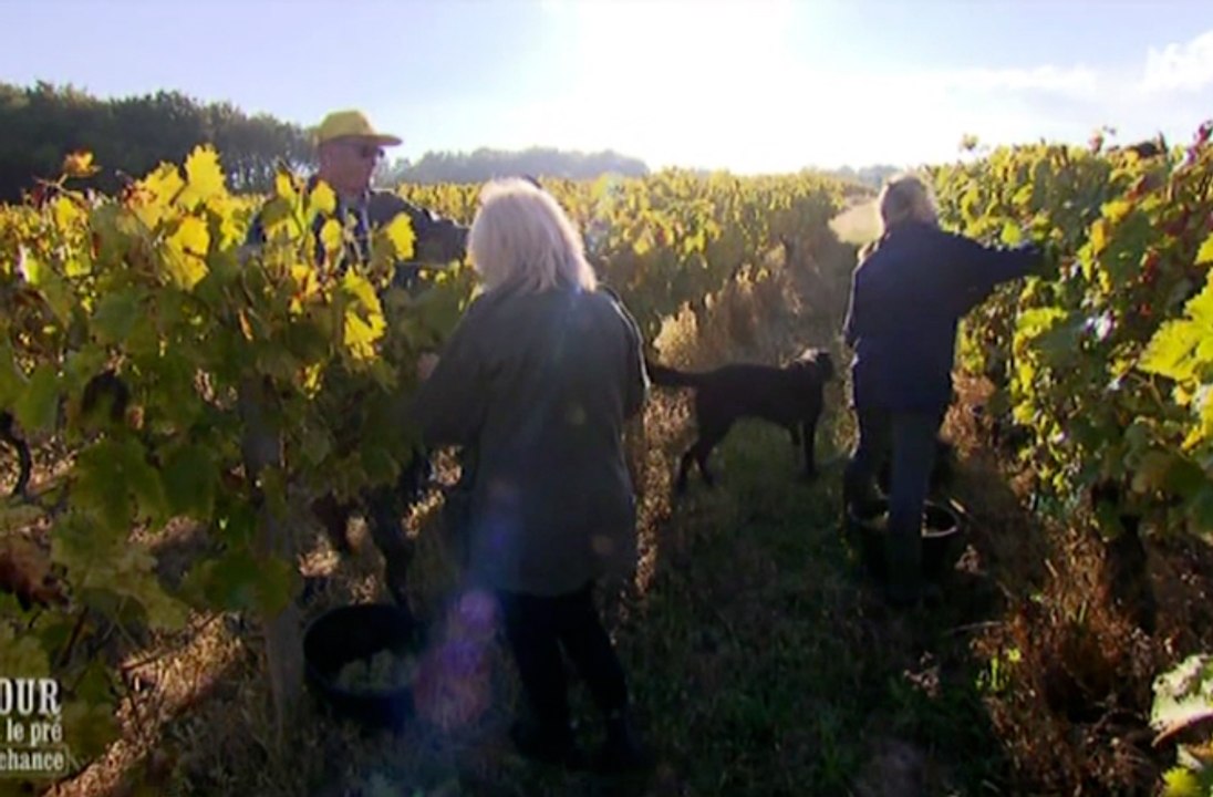 Amour est dans le pré : seconde chance (M6) : Philippe trouvait Marie-Pierre "vieille et moche" sur les photos
