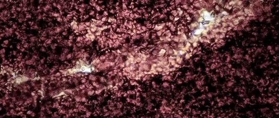 Closer to God - Frankensteins Kinder Trailer (2) OV