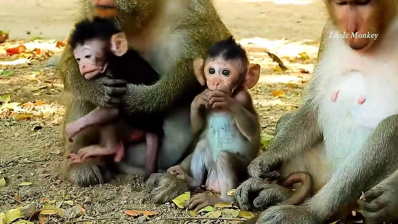 Mom will do everything possible to protect her child from any threats.