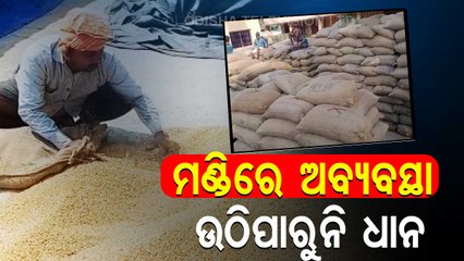 Mandi And Token Issues Cripple Kharif Crop Procurement In Bhadrak