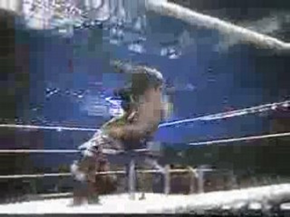 Preview money in the bank wrestlemania 24