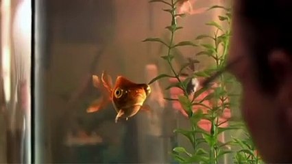 Amok - He Was A Quiet Man Trailer DF