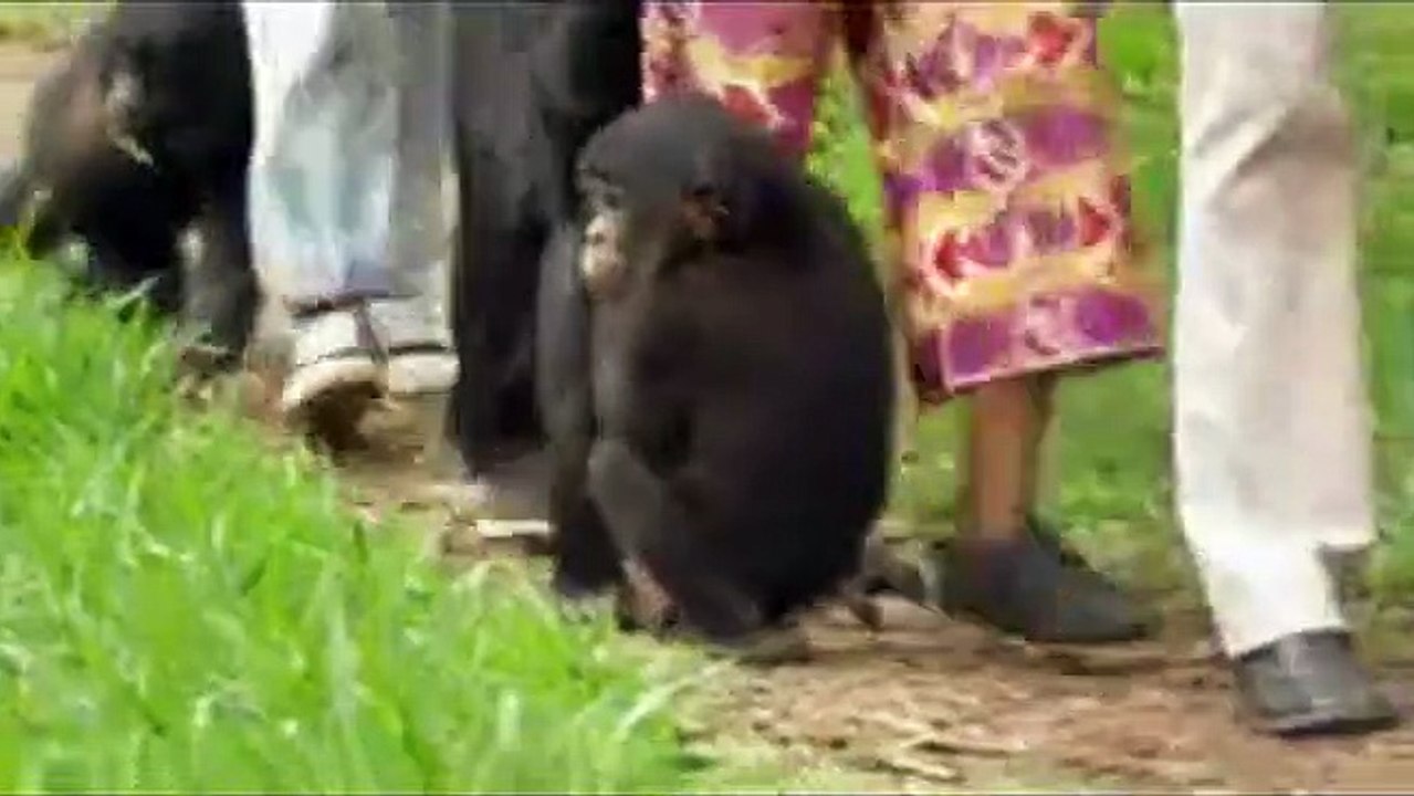 Benny - Allein im Wald Trailer DF