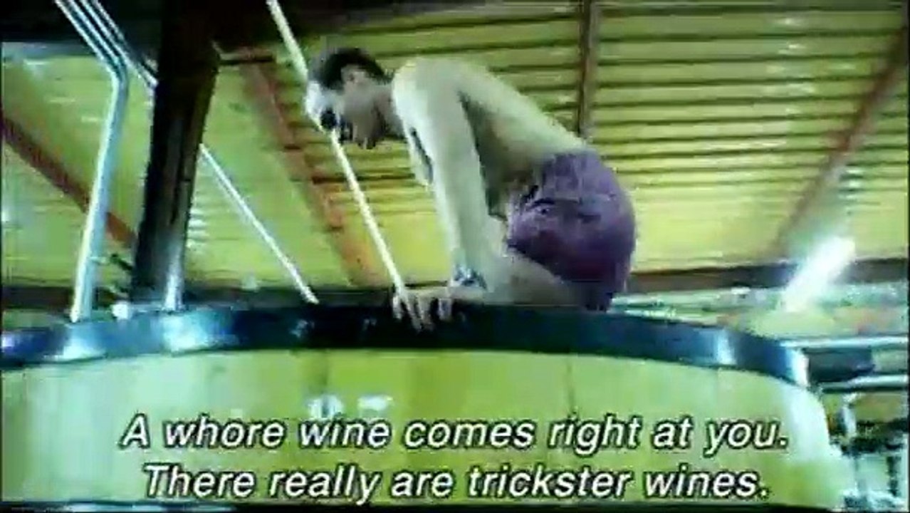 Mondovino Die Wahrheit liegt im Wein Trailer OV video Dailymotion