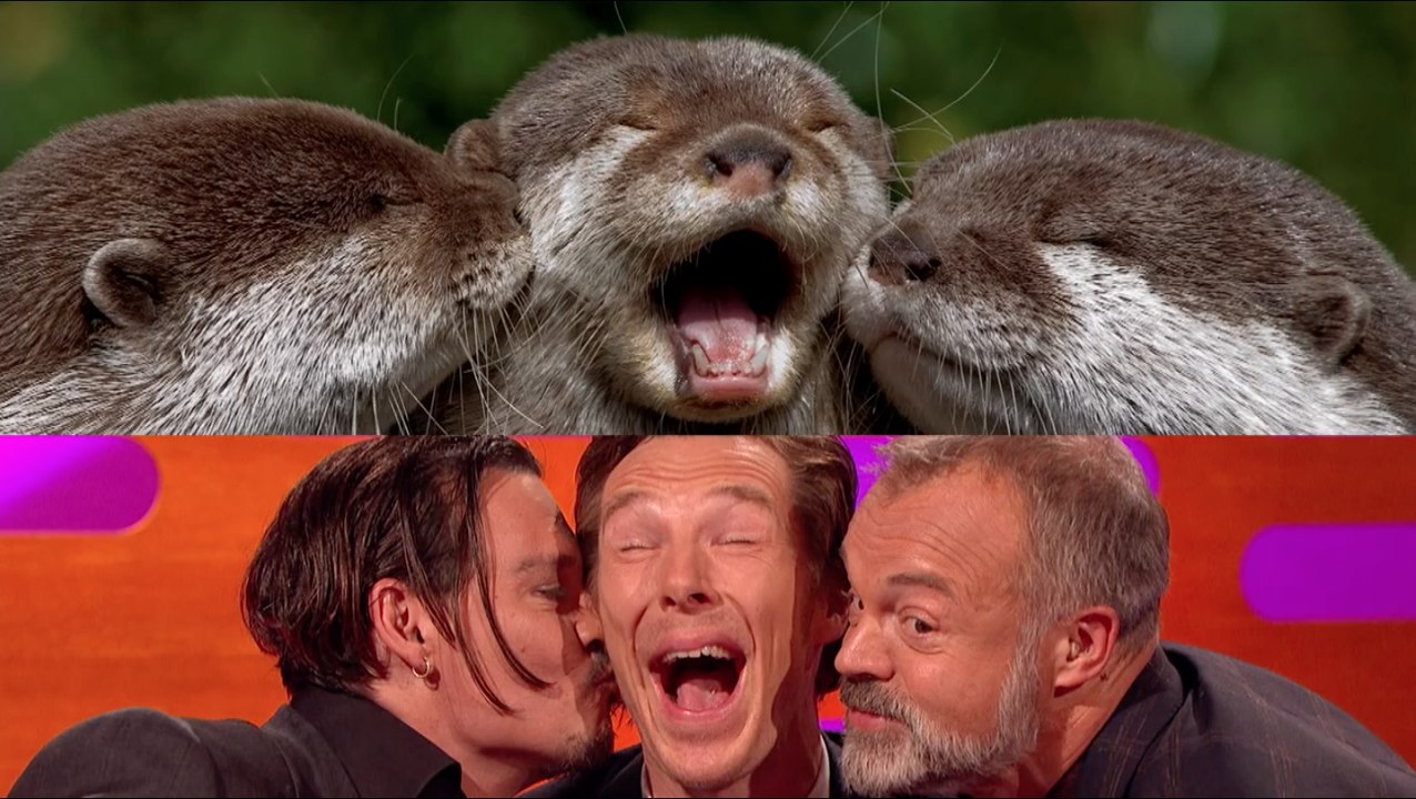 Benedict Cumberbatch, Graham Norton, Johnny Depp - Photos de loutres