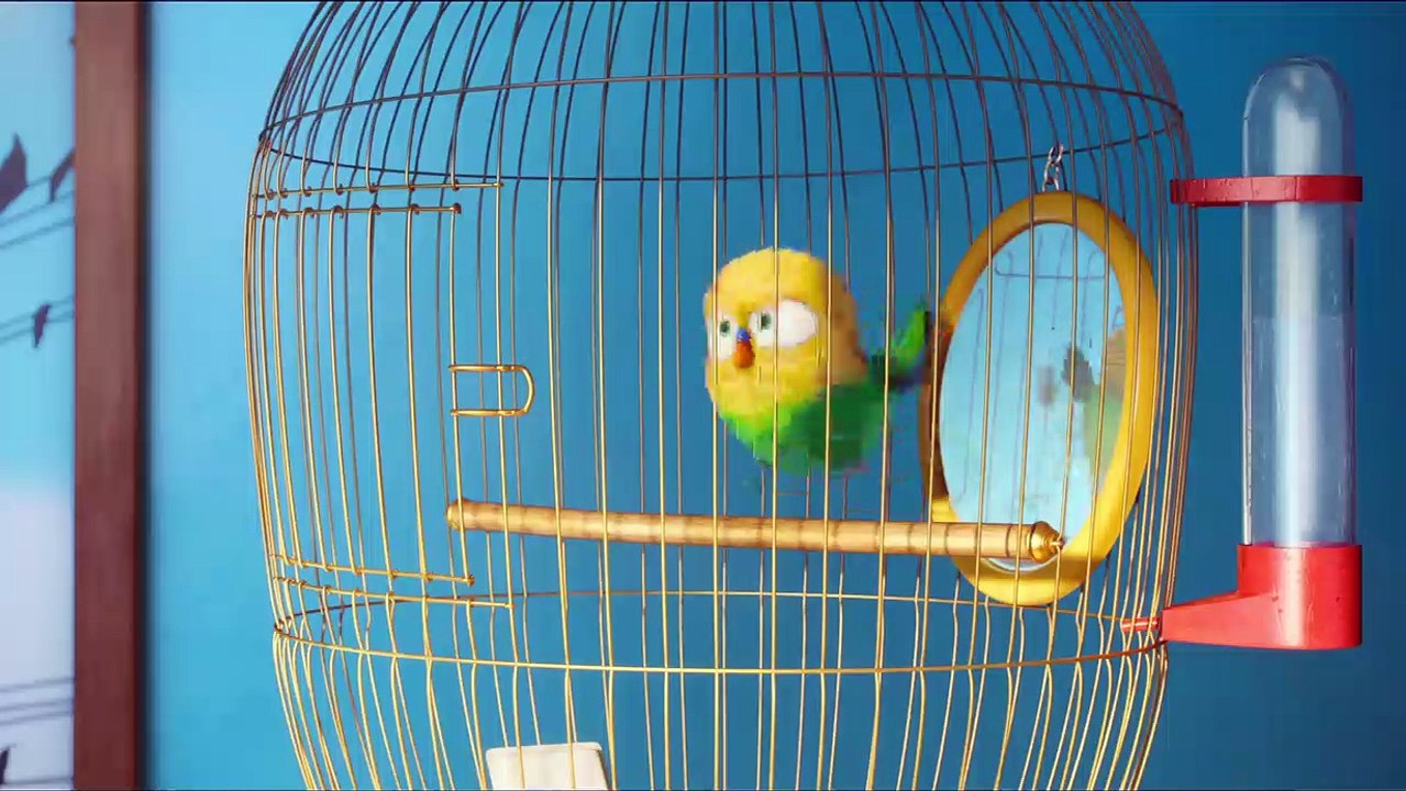 Pets Trailer DF