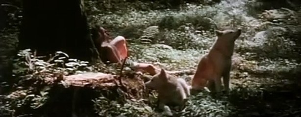 Der Feind in meinem Herzen Trailer OV