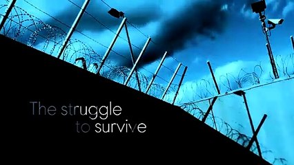 Wentworth Trailer OV