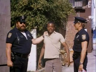 Die Miami Cops Trailer DF