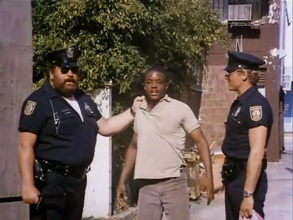 Die Miami Cops Trailer DF