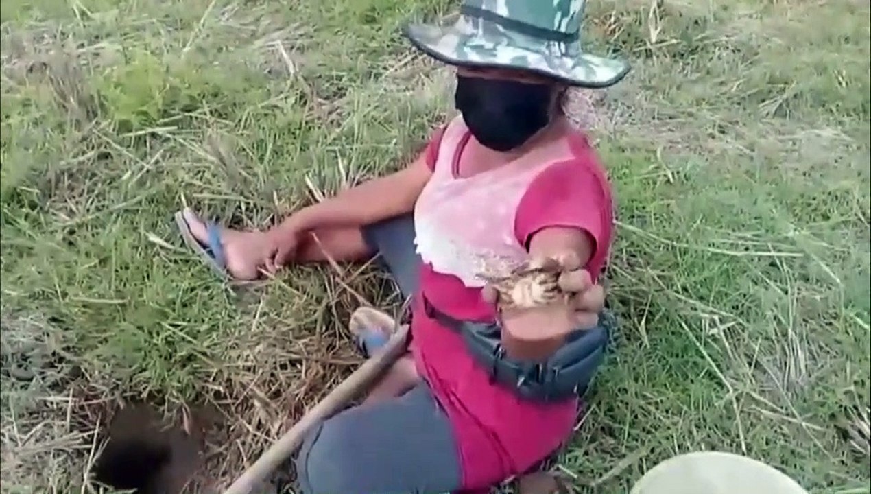 พลิกวิกฤตหลังพายุฤดูร้อนถล่มขุดปูขายสร้างรายได้งาม(ชมคลิป)