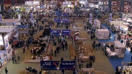 Saint Amour - Drei gute Jahrgänge Trailer (2) OV