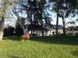 Mercredi 5 mars indochine et mathilde saut d'obsacle