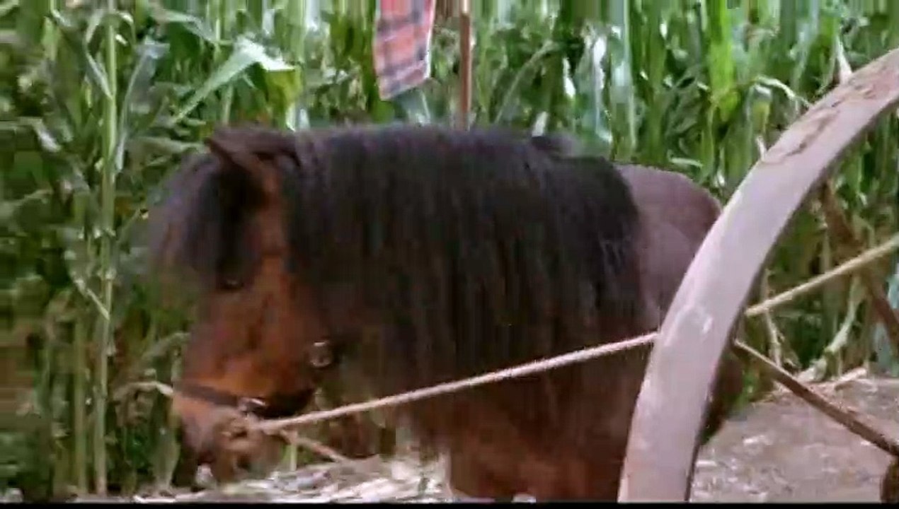 Im Rennstall ist das Zebra los! Trailer DF