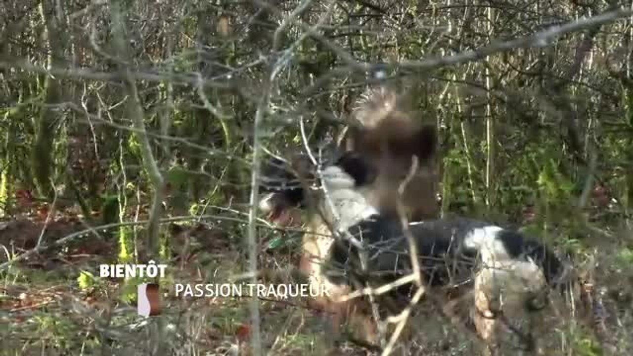 Passion traqueur - 28/12/16