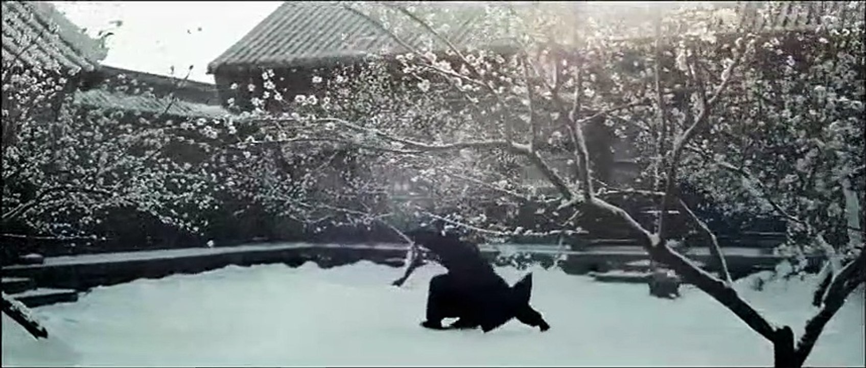 The Grandmaster Trailer DF