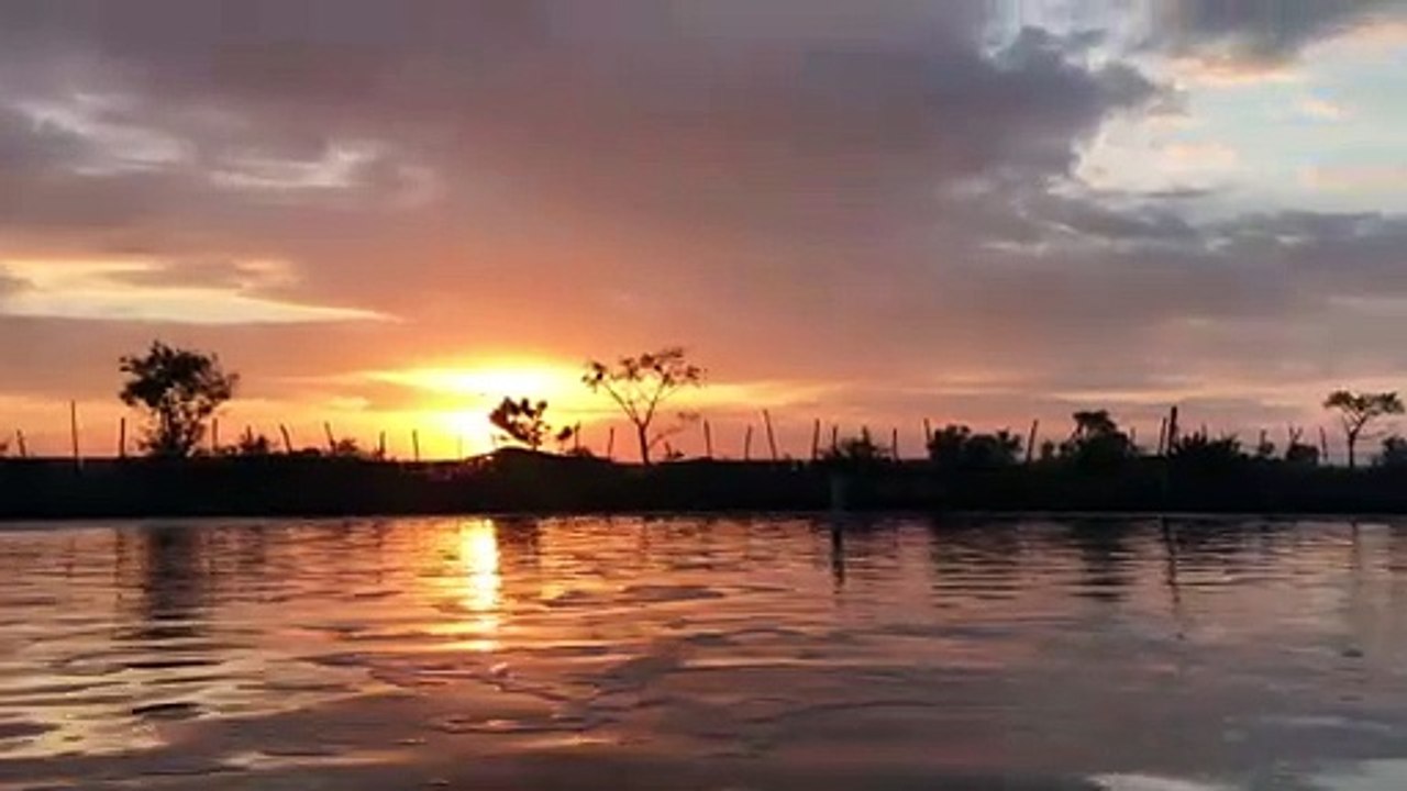 Sunset at shrimp aquaculture pond