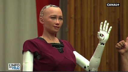 Le zapping best-of du 29/12 : 2017, l’année de l’intelligence artificielle