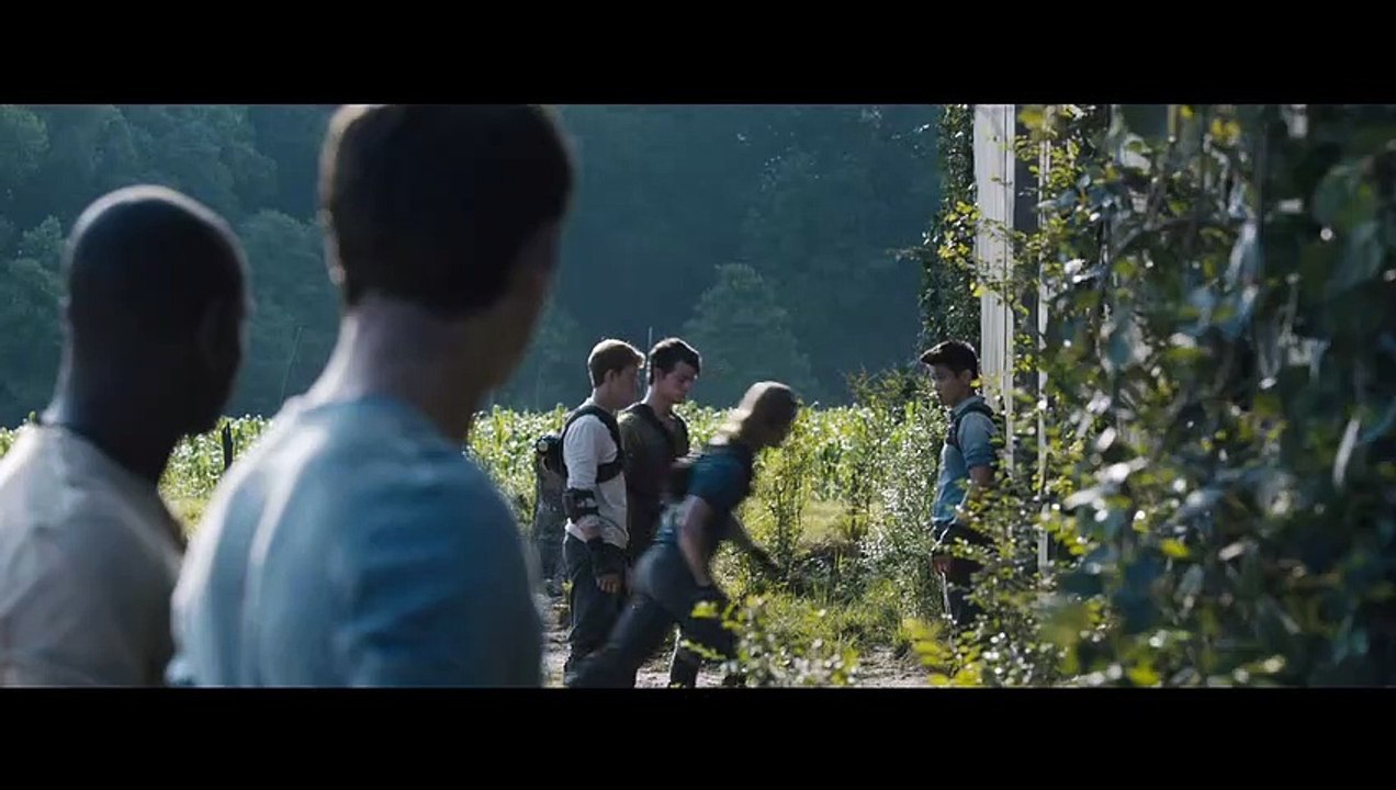 Maze Runner - Die Auserwählten im Labyrinth Trailer (2) DF