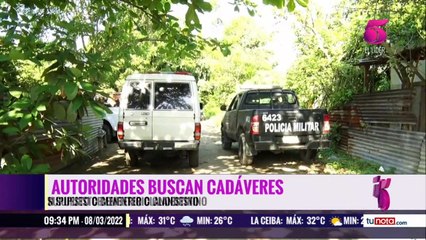 TN5 Estelar - 8 de Marzo