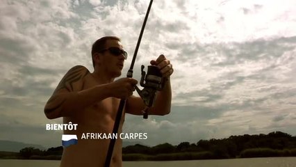 Afrikaan Carpes - 27/12/16